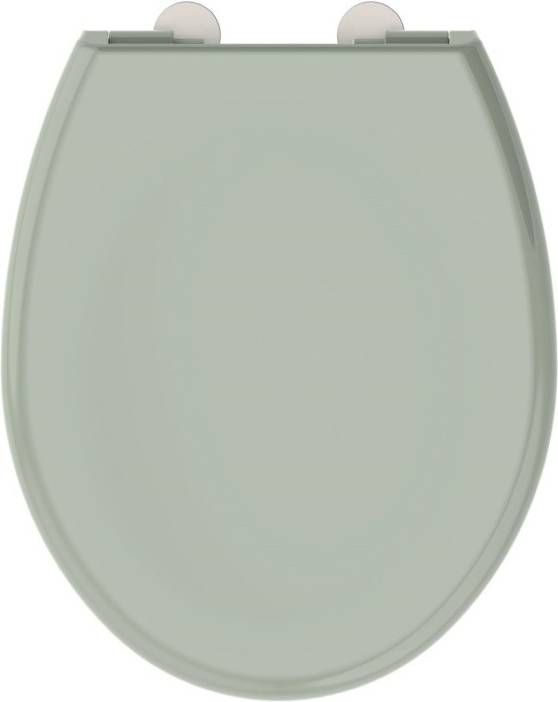 Allibert Boreo Stille Sluitende Toiletzitting Glanzend Verdigris