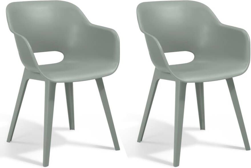 Keter Allibert Tuinstoelen 2 st Akola vintagegroen